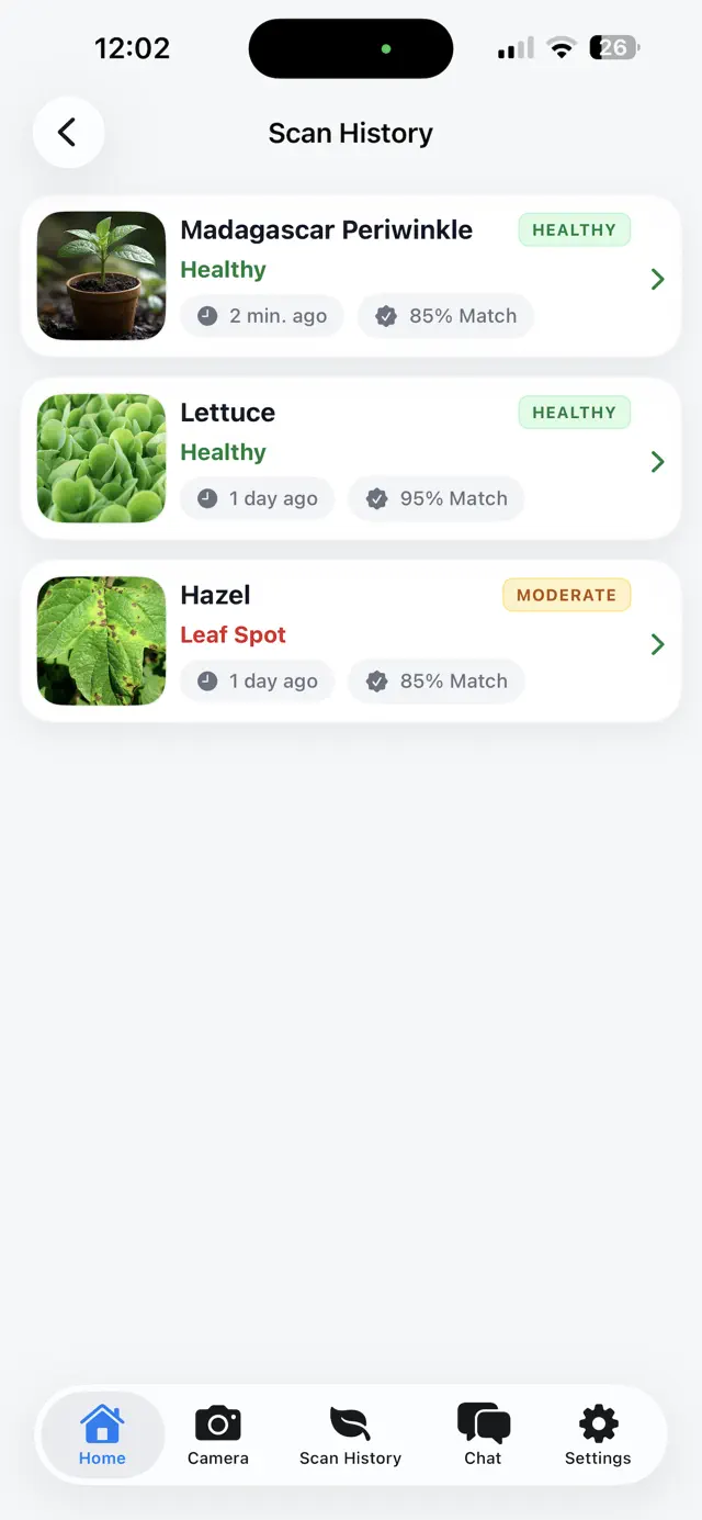 Scan history with a Madagascar periwinkle, a lettuce and a hazel.